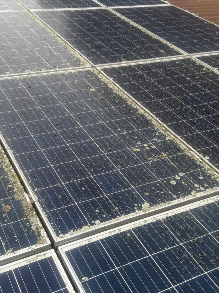 Gereinigte Photovoltaikanlage