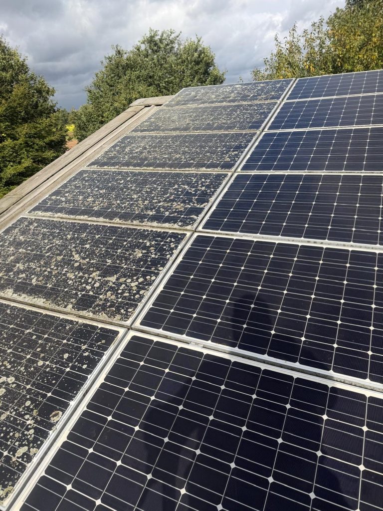 Reinigung einer Solaranlage